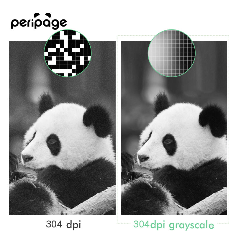 PeriPage A9 系列便携式迷你袖珍热敏打印机