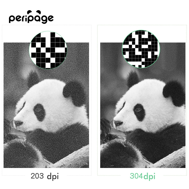 Print quality comparison of PeriPage A9 Max 304 dpi vs 203 dpi resolution using panda photo