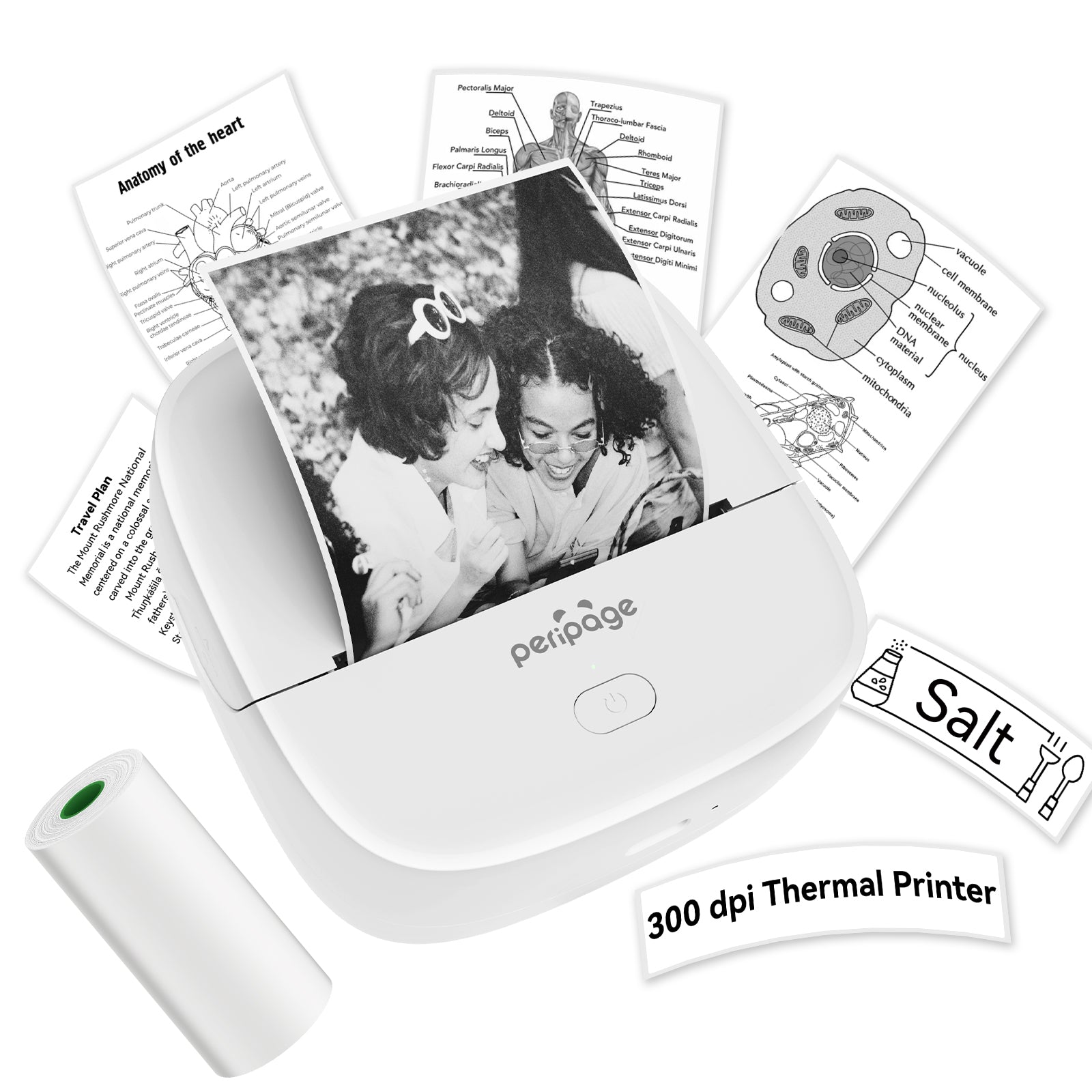 Peripage Portable Bluetooth Thermal Printer P22 – PeriPage
