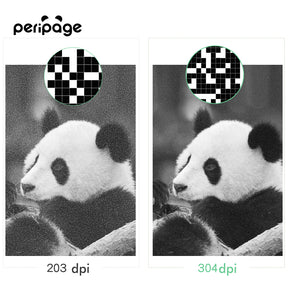 PeriPage A6 mini thermal printer 203 dpi vs 304 dpi print quality comparison showing high-resolution panda photo printing